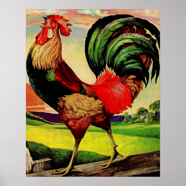 Poster Rocky the Handsome Rooster (Frente)