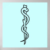 Rod de Asclepius [símbolo médico]