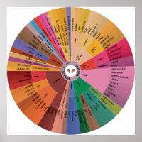 Roda Aroma do Vinho