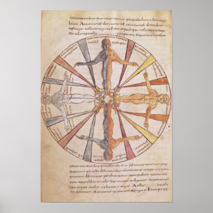 Póster Roda das estações e dos meses