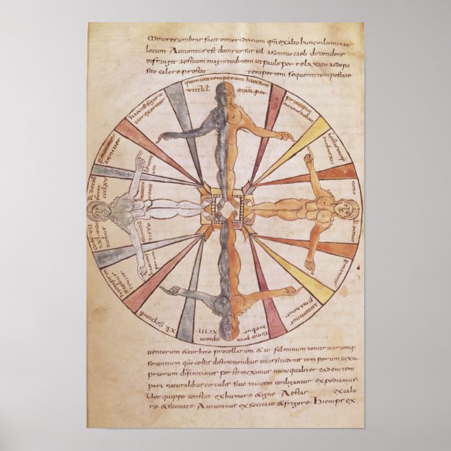 Póster Roda das estações e meses (Frente)