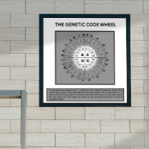Roda do código genético