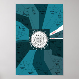 Poster Roda do códon genético de aminoácidos azul