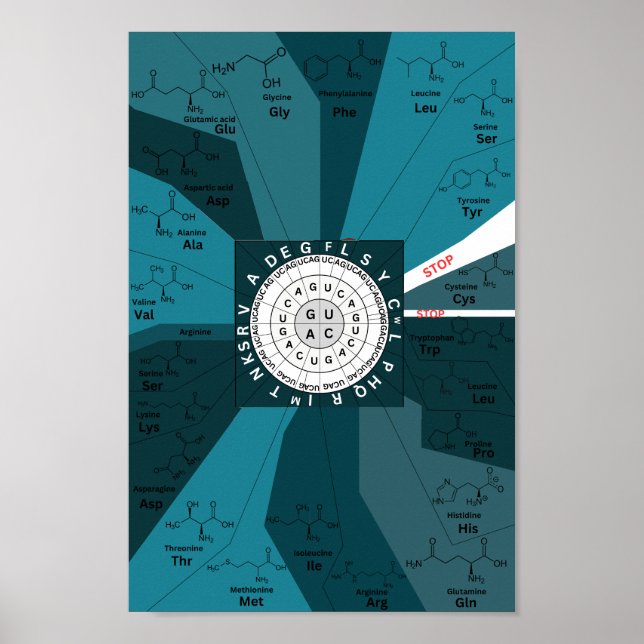 Poster Roda do códon genético de aminoácidos azul (Frente)