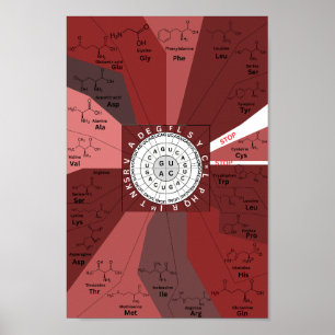 Poster Roda genética de códon dos aminoácidos em castanho
