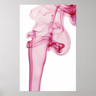 Póster Roda rosa