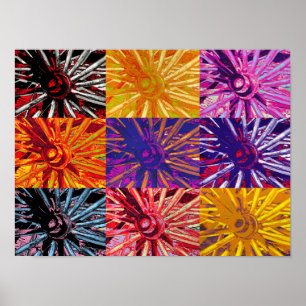 POSTER RODAS DE VAGÃO