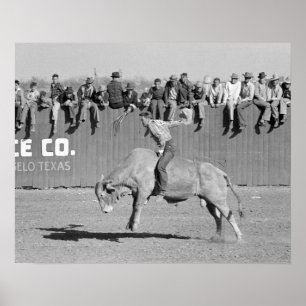 Poster Rodeio Bull Cavaleiro, 1940. Foto do vintage