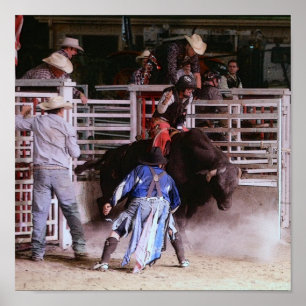 POSTER RODEO: CORRIDA EM BRULL