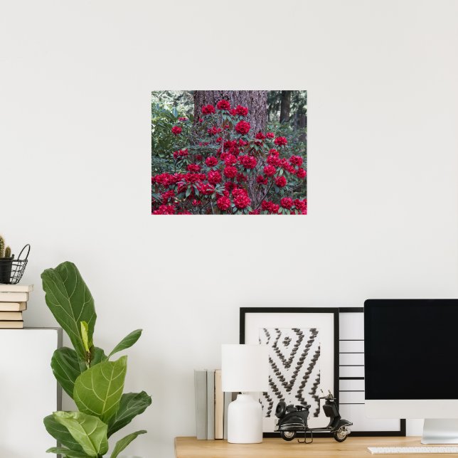 Póster Rododendros Vermelhos Profundos Florais Fotográfic (Escritório em casa)