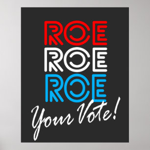 Poster Roe Roe, Seu Voto Eleitoral