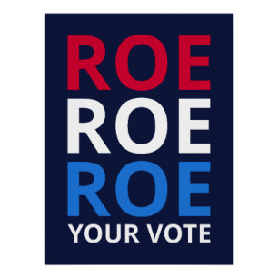 Póster Roe Seu Voto I