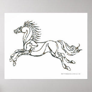 Póster Rohan Symbol