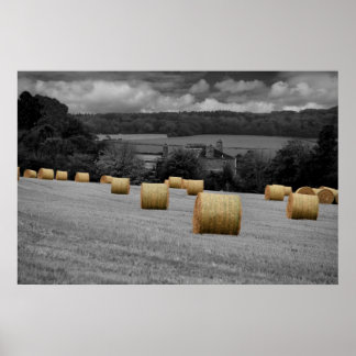 Poster Rolando para Casa