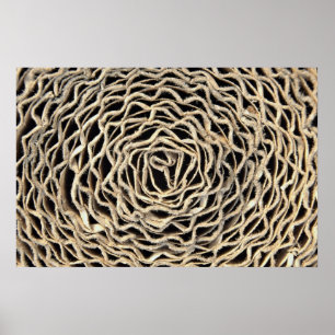 Póster Roll de papel ondulado