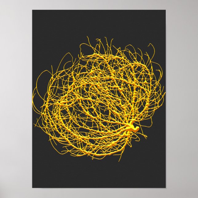 Poster RollinGolden Tumbleweed Planta Original (Frente)