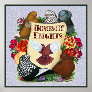 Póster Rolo do voo doméstico