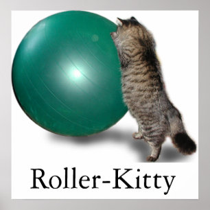 Poster Rolo-Gatinho