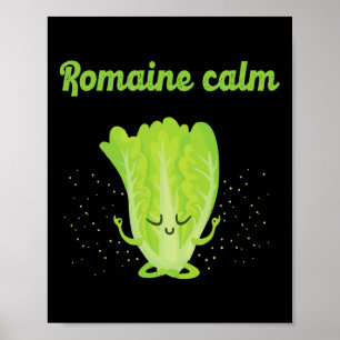 Poster Romaína Sarcástica Calma Zen Ioga Pacífica Roupas
