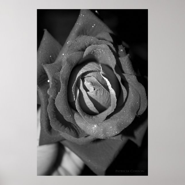 Poster Romance (Frente)