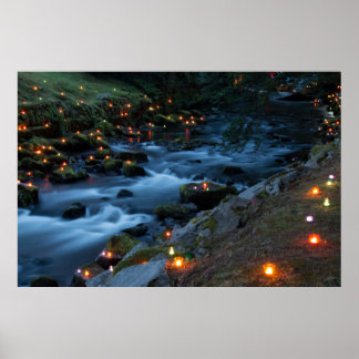 Poster Romance - Floresta Mágica