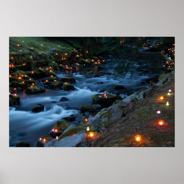 Poster Romance - Floresta Mágica (Frente)