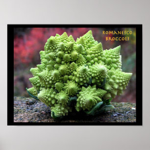 Poster Romanesco Broccoli Vegetal