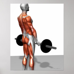 Poster Romanian Deadlift