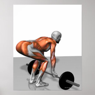 Póster Romanian Deadlift 2