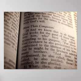 Póster Romanos 8:28 [Impressão]
