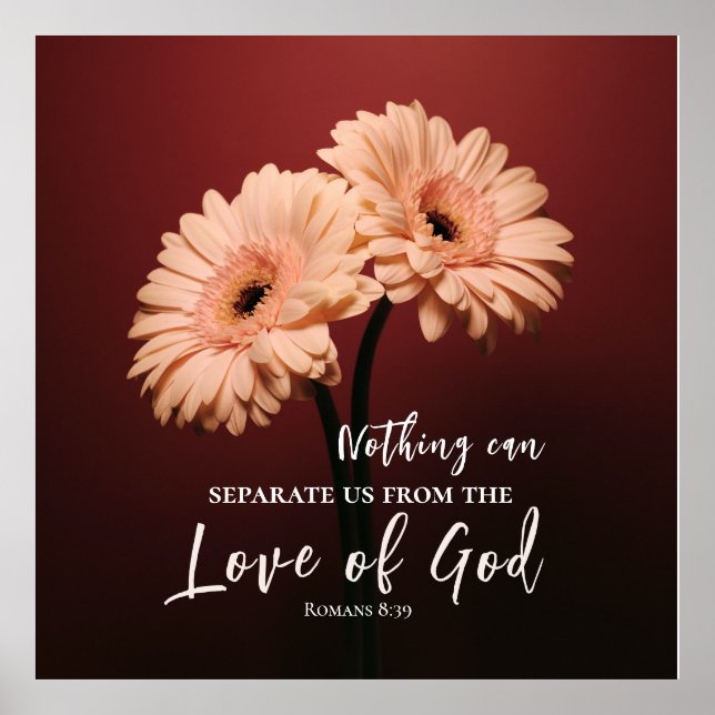 Poster Romanos 8 39 Amor de Deus Bíblia Verso Rosa Brown (Frente)