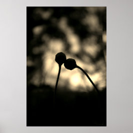 Poster Romantic Moody Flowers – Botanical Fantasy Boho