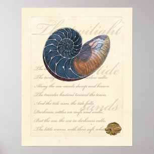 Póster Romantic Seashell