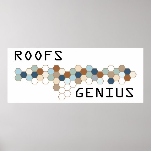 Poster Roofs Genius (Frente)