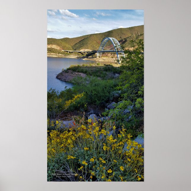 Poster Roosevelt Lake Bridge Arizona Amarelos Flores Selv (Frente)