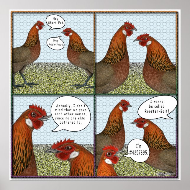 Póster Rooster Bait (Frente)