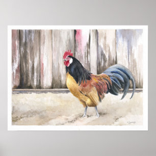 Poster Rooster Watercolor Art Print