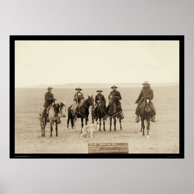 Poster Roping a Cinza Wolf in Wyoming 1887 (Frente)