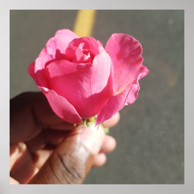 Poster rosa (Frente)