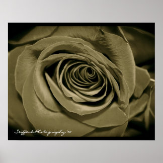 Póster Rosa