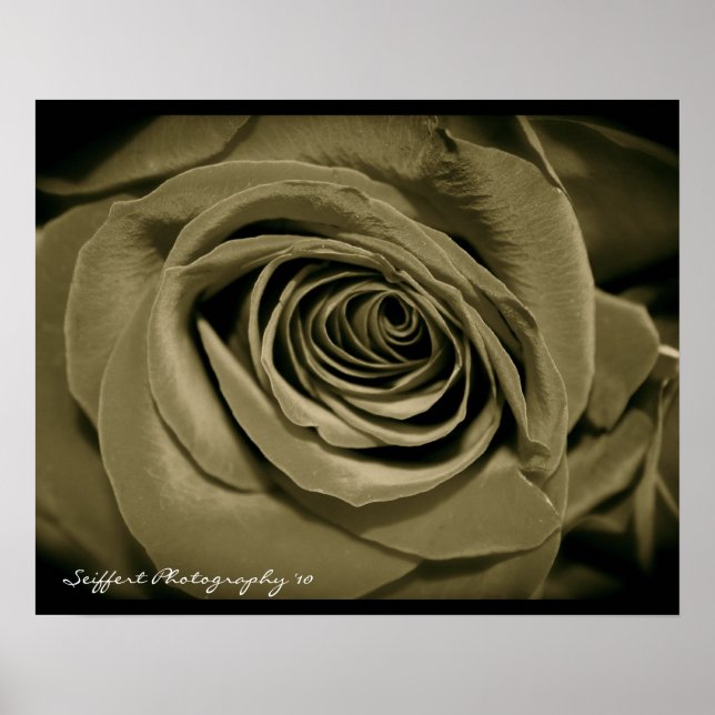 Póster Rosa (Frente)