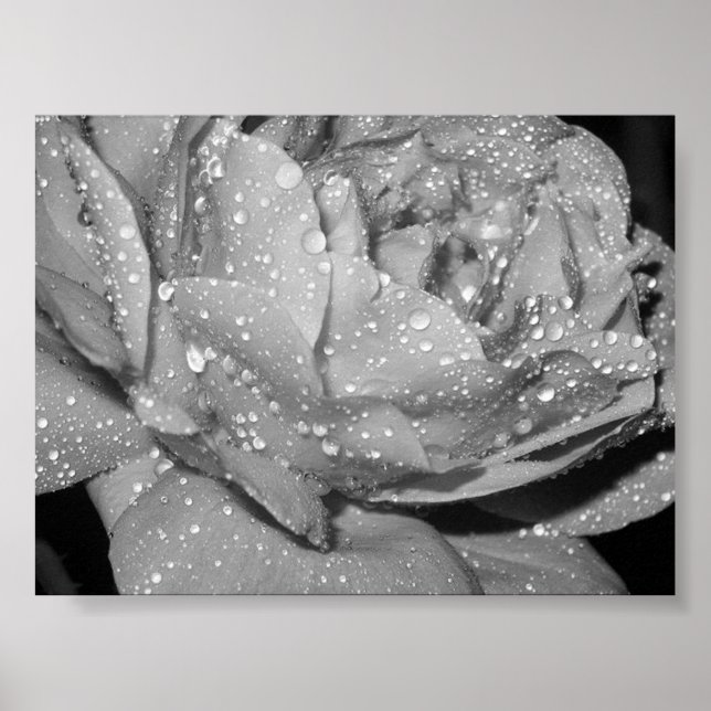 Póster Rosa (Frente)