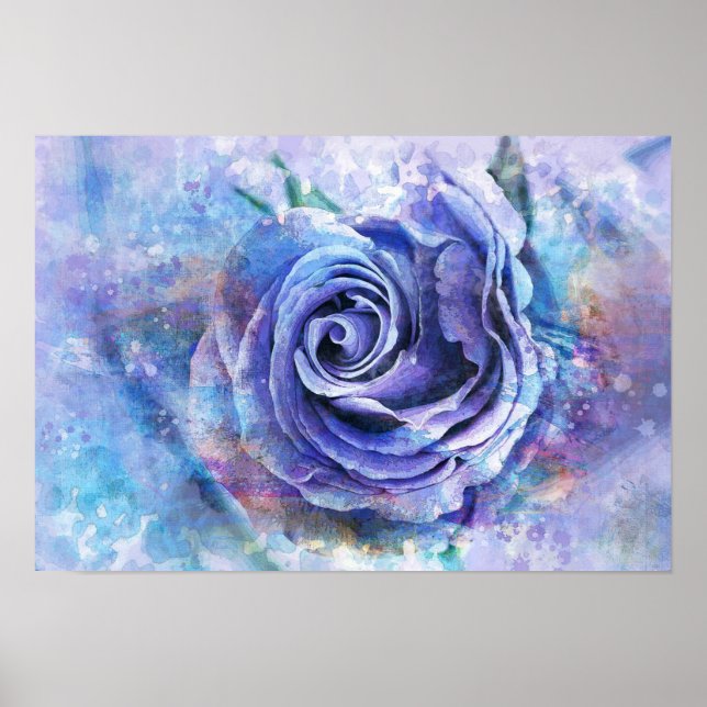 Poster Rosa (Frente)