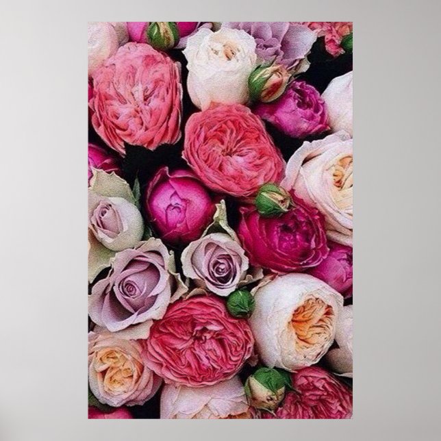 Poster Rosa (Frente)