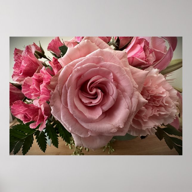 Poster Rosa, (Frente)