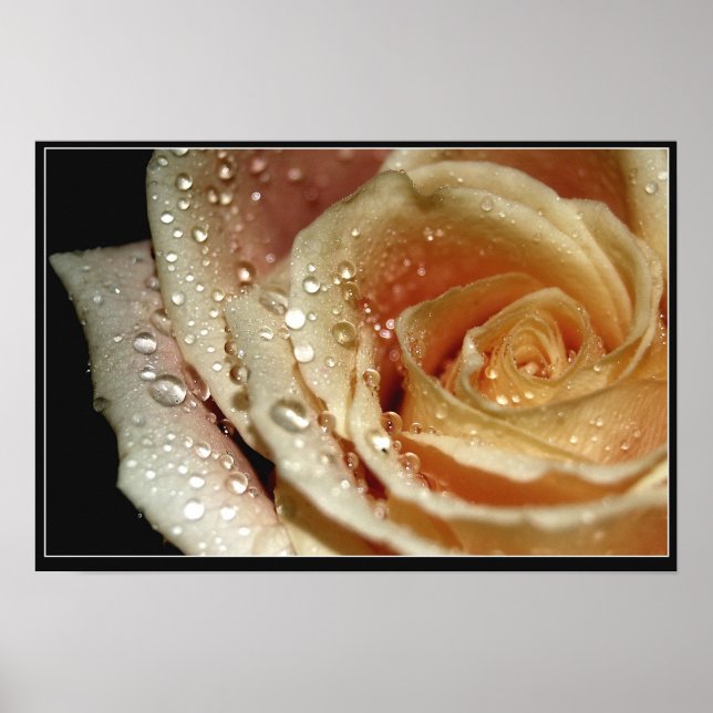 Póster Rosa (Frente)