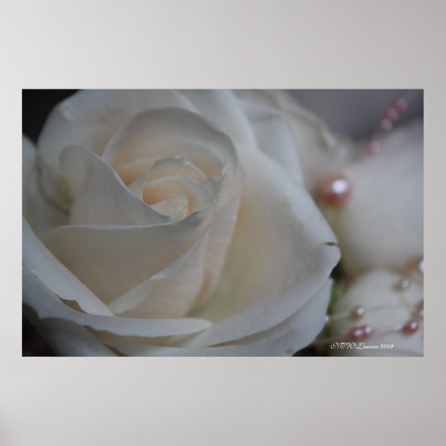 POSTER ROSA 6 (Frente)