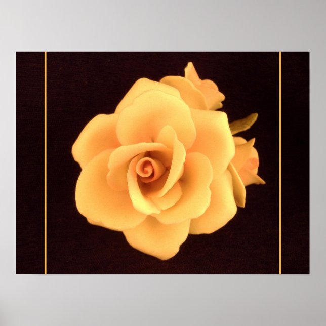 Poster Rosa Amarela, Foto 2004. (Frente)