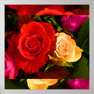 Póster Rosa Amarela I