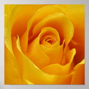 Poster Rosa Amarelo Grande
